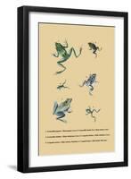 Grenouille Papoue-null-Framed Art Print