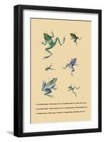 Grenouille Papoue-null-Framed Art Print