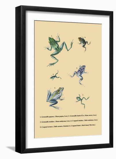 Grenouille Papoue-null-Framed Art Print