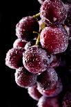 Fresh Grapes with Drops-Gresei-Photographic Print