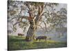 Gresford Gum 2-John Bradley-Stretched Canvas