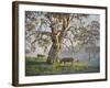 Gresford Gum 2-John Bradley-Framed Giclee Print