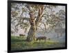 Gresford Gum 2-John Bradley-Framed Giclee Print