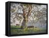 Gresford Gum 2-John Bradley-Framed Stretched Canvas