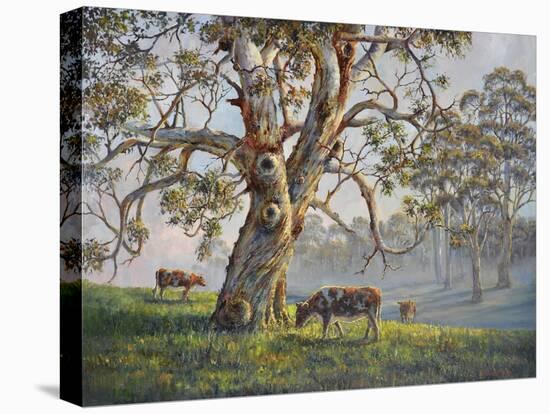 Gresford Gum 2-John Bradley-Stretched Canvas