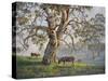 Gresford Gum 2-John Bradley-Stretched Canvas