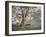 Gresford Gum 2-John Bradley-Framed Giclee Print