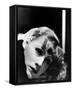 Greta Garbo-null-Framed Stretched Canvas