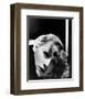 Greta Garbo-null-Framed Photo