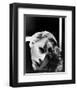 Greta Garbo-null-Framed Photo