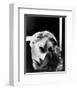 Greta Garbo-null-Framed Photo