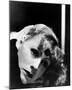 Greta Garbo-null-Mounted Photo