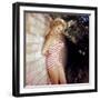 Greta Thyssen-null-Framed Photo