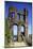 Grevenburg Castle Ruin, Traben-Trabach, Moselle Valley, Rhineland-Palatinate, Germany, Europe-Hans-Peter Merten-Mounted Photographic Print