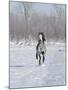 Grey Andalusian Stallion Cantering in Snow, Longmont, Colorado, USA-Carol Walker-Mounted Photographic Print