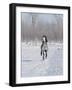 Grey Andalusian Stallion Cantering in Snow, Longmont, Colorado, USA-Carol Walker-Framed Photographic Print