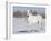 Grey Andalusian Stallion Portrait in Snow, Longmont, Colorado, USA-Carol Walker-Framed Photographic Print