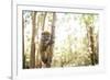 Grey Bamboo Lemur (Hapalemur), Lemur Island, Andasibe, Eastern Madagascar, Africa-Matthew Williams-Ellis-Framed Photographic Print