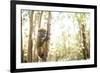 Grey Bamboo Lemur (Hapalemur), Lemur Island, Andasibe, Eastern Madagascar, Africa-Matthew Williams-Ellis-Framed Photographic Print