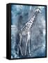 Grey Blue Giraffe-OnRei-Framed Stretched Canvas