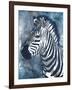 Grey Blue Zebra-OnRei-Framed Art Print