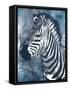 Grey Blue Zebra-OnRei-Framed Stretched Canvas