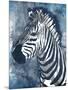 Grey Blue Zebra-OnRei-Mounted Premium Giclee Print