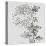 Grey Botanical I-Eva Watts-Stretched Canvas