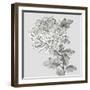 Grey Botanical I-Eva Watts-Framed Art Print