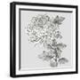 Grey Botanical I-Eva Watts-Framed Art Print