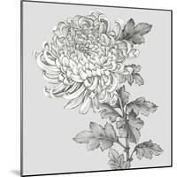 Grey Botanical I-Eva Watts-Mounted Art Print