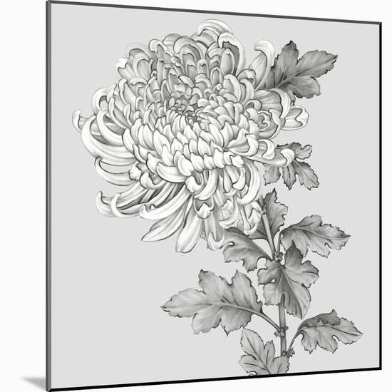 Grey Botanical I-Eva Watts-Mounted Art Print