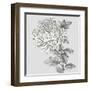 Grey Botanical I-Eva Watts-Framed Art Print