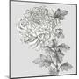 Grey Botanical I-Eva Watts-Mounted Art Print