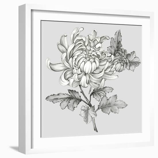 Grey Botanical II-Eva Watts-Framed Art Print