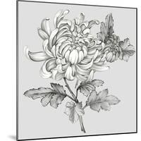 Grey Botanical II-Eva Watts-Mounted Art Print