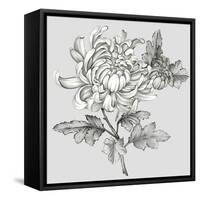 Grey Botanical II-Eva Watts-Framed Stretched Canvas