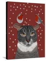Grey Cat and Robins-Fab Funky-Stretched Canvas