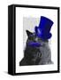 Grey Cat with Blue Top Hat and Blue Moustache-Fab Funky-Framed Stretched Canvas