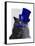 Grey Cat with Blue Top Hat and Blue Moustache-Fab Funky-Framed Stretched Canvas