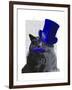 Grey Cat with Blue Top Hat and Blue Moustache-Fab Funky-Framed Art Print