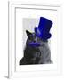 Grey Cat with Blue Top Hat and Blue Moustache-Fab Funky-Framed Art Print
