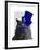 Grey Cat with Blue Top Hat and Blue Moustache-Fab Funky-Framed Art Print