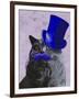 Grey Cat with Blue Top Hat and Moustache-Fab Funky-Framed Art Print