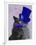 Grey Cat with Blue Top Hat and Moustache-Fab Funky-Framed Art Print