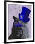 Grey Cat with Blue Top Hat and Moustache-Fab Funky-Framed Art Print