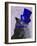 Grey Cat with Blue Top Hat and Moustache-Fab Funky-Framed Art Print