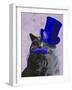 Grey Cat with Blue Top Hat and Moustache-Fab Funky-Framed Art Print