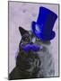 Grey Cat with Blue Top Hat and Moustache-Fab Funky-Mounted Art Print