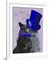 Grey Cat with Blue Top Hat and Moustache-Fab Funky-Framed Art Print